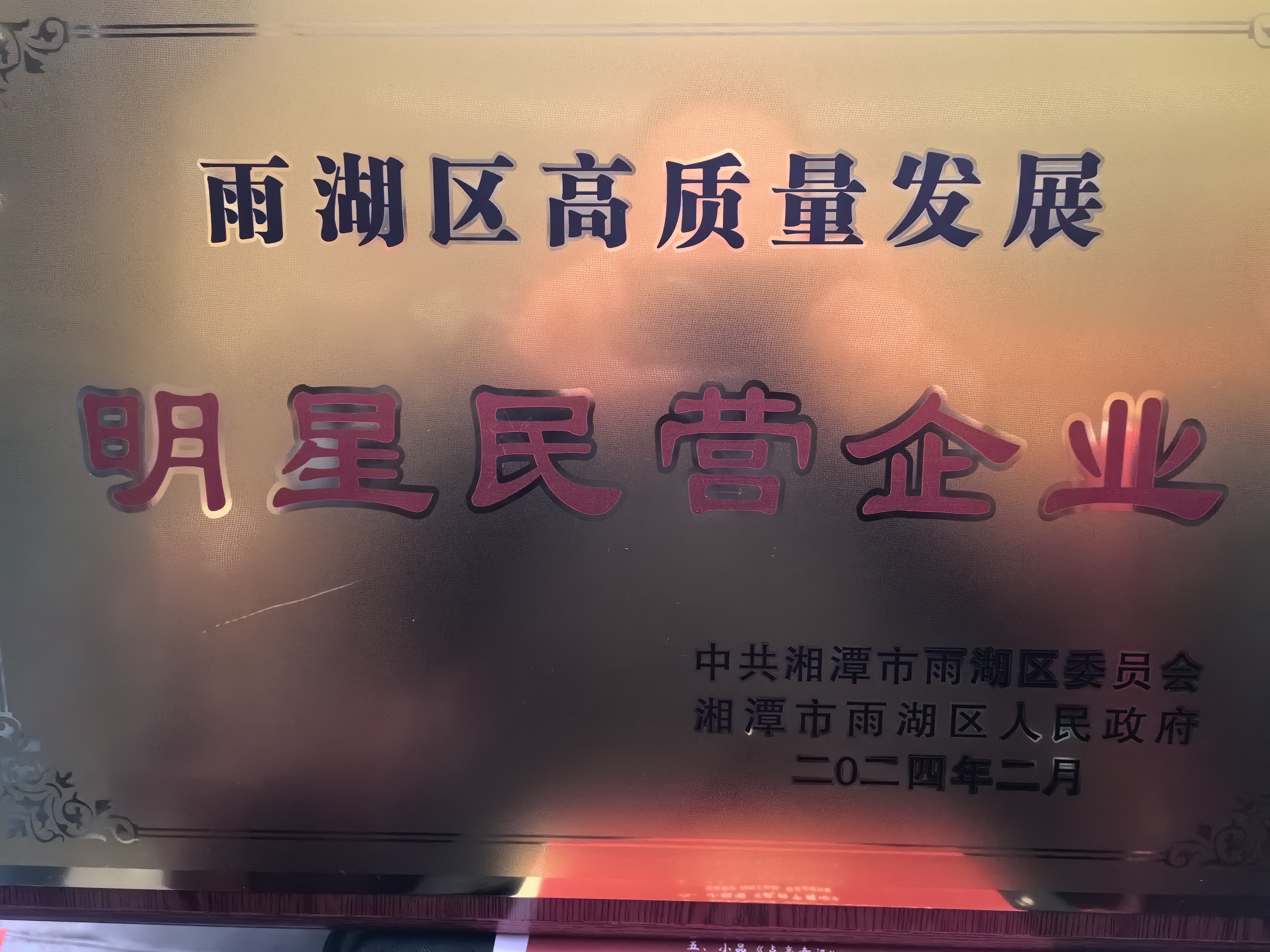 如意平台荣获“雨湖区高质量发展明星民营企业”称号